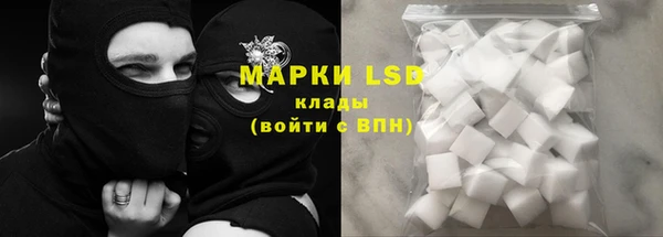 эйфоретик Баксан