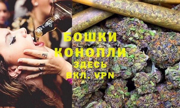 эйфоретик Баксан